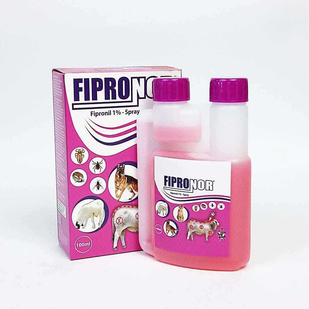 Fipronor